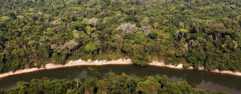 Brasil precisa priorizar a agenda ambiental para salvar a Amazônia/ Felipe Werneck/Ibama