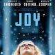 Cartaz do filme Joy